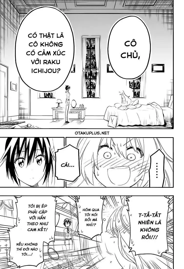 Nisekoi Chapter 206 - Trang 13