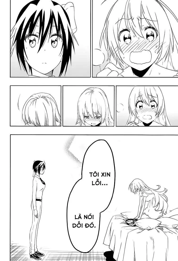 Nisekoi Chapter 206 - Trang 14