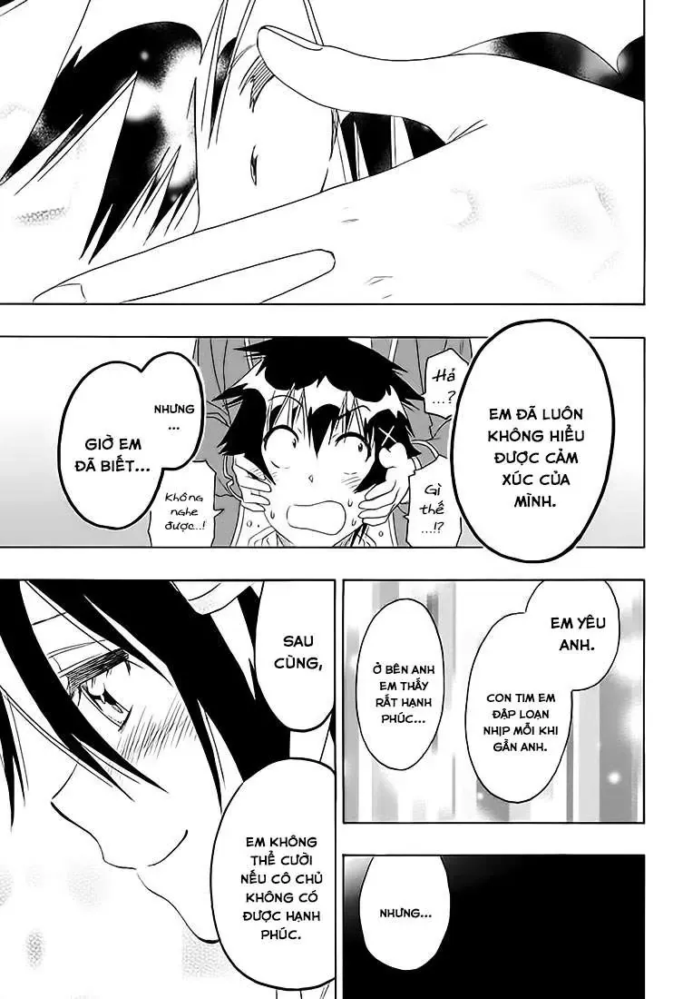 Nisekoi Chapter 206 - Trang 21