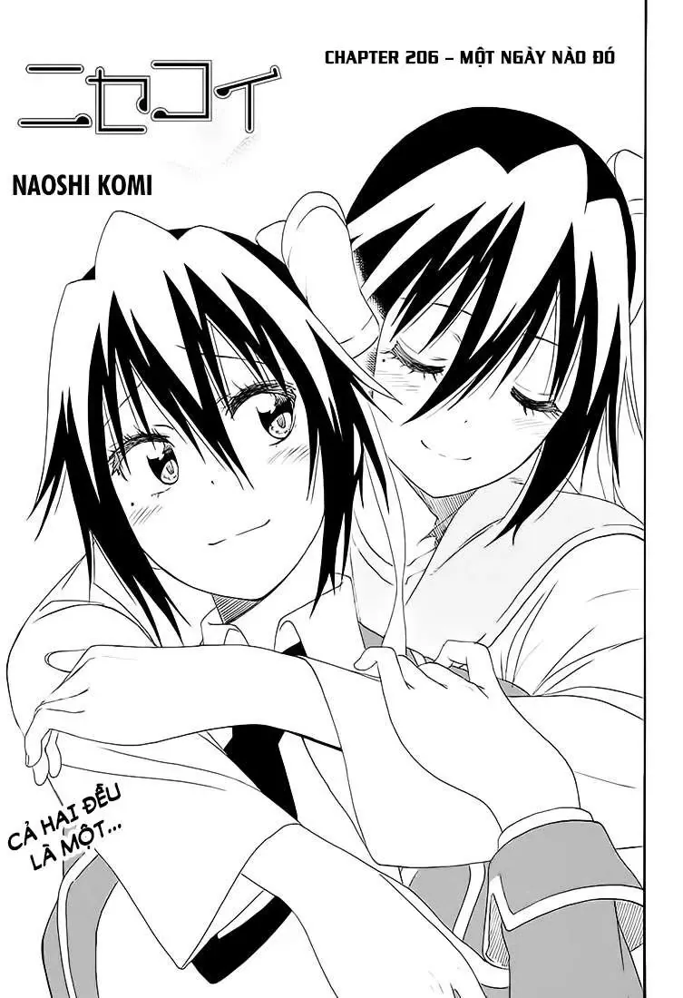 Nisekoi Chapter 206 - Trang 5