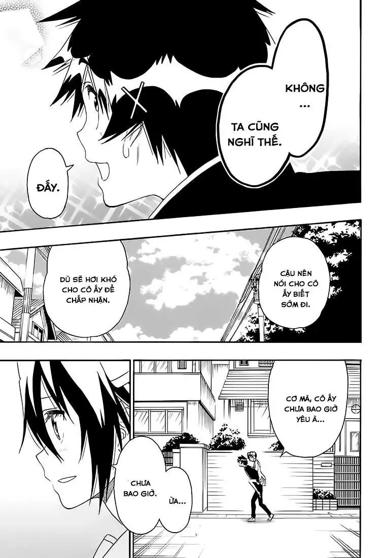 Nisekoi Chapter 206 - Trang 7
