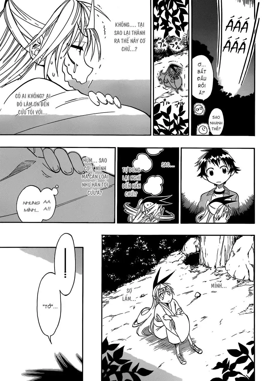 Nisekoi Chapter 24 - Trang 20