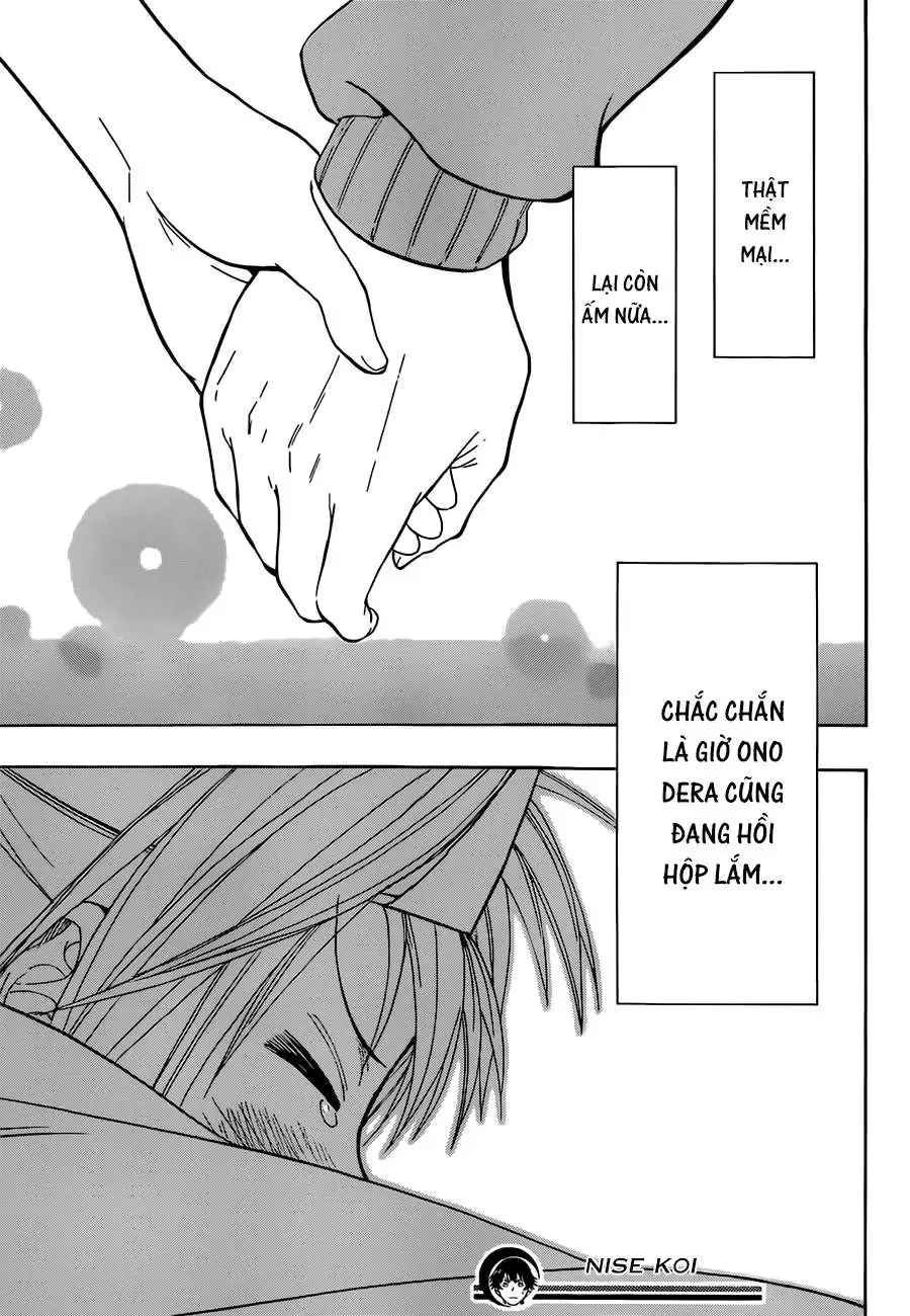 Nisekoi Chapter 24 - Trang 22