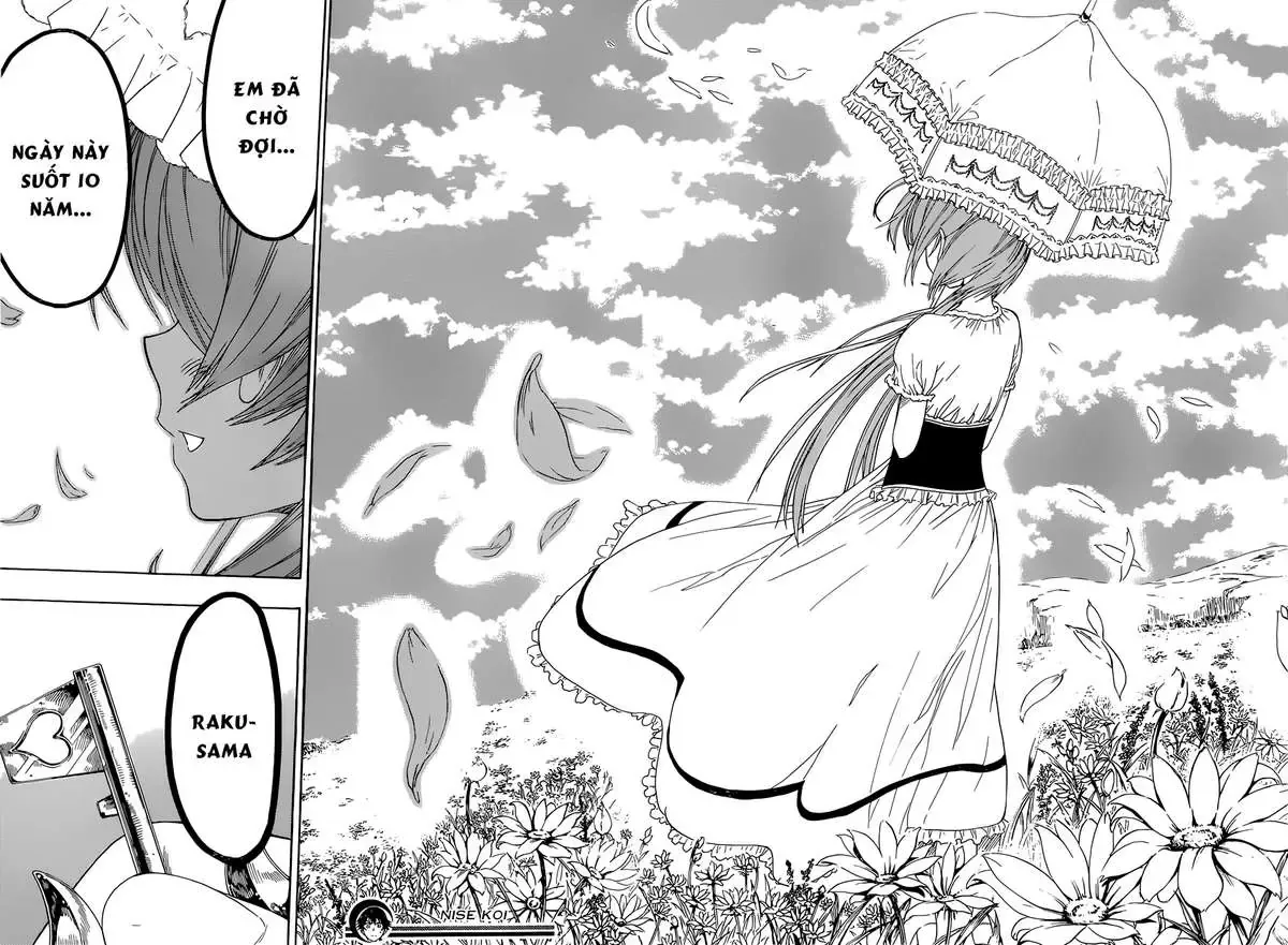Nisekoi Chapter 32 - Trang 21