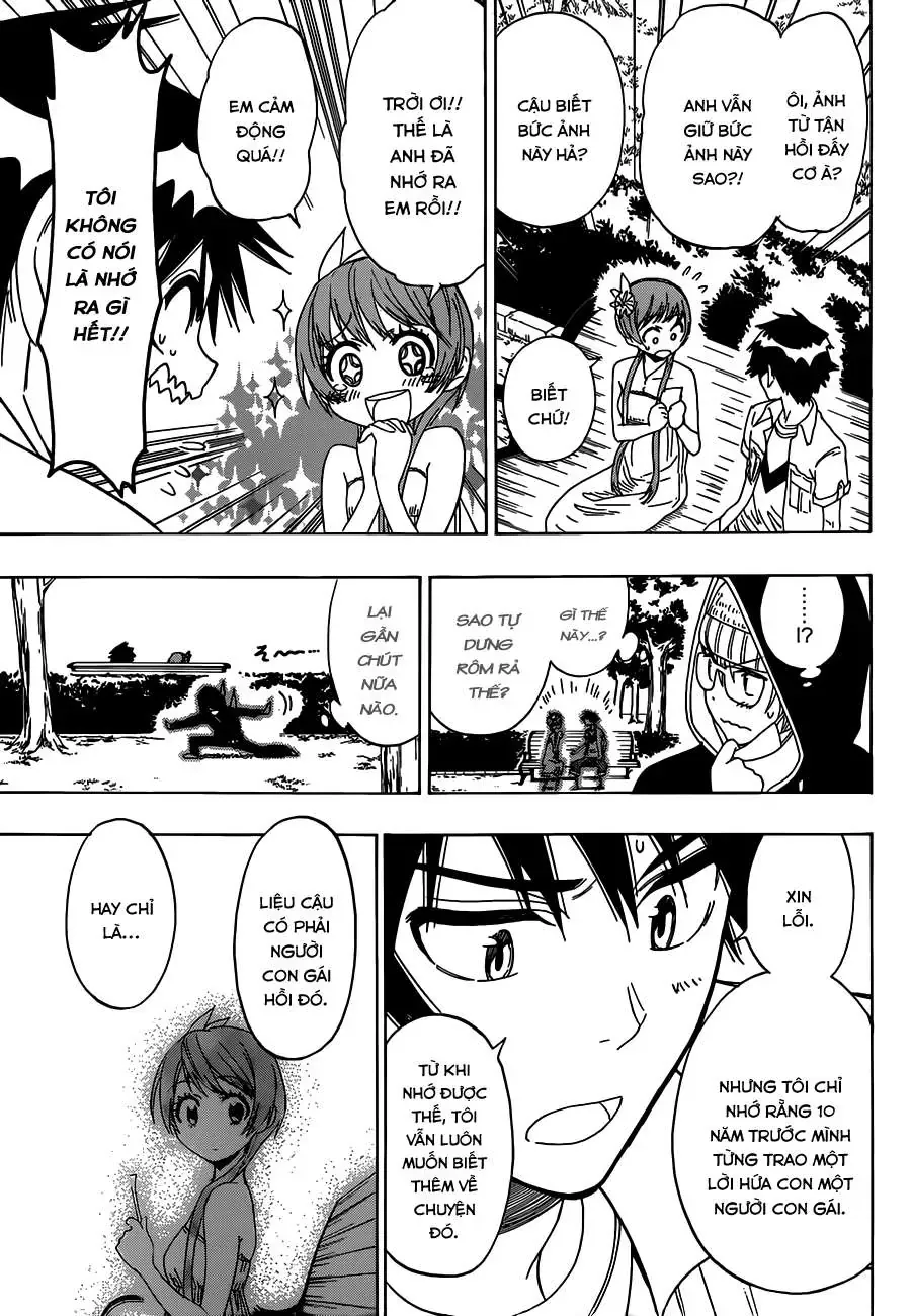 Nisekoi Chapter 34 - Trang 19