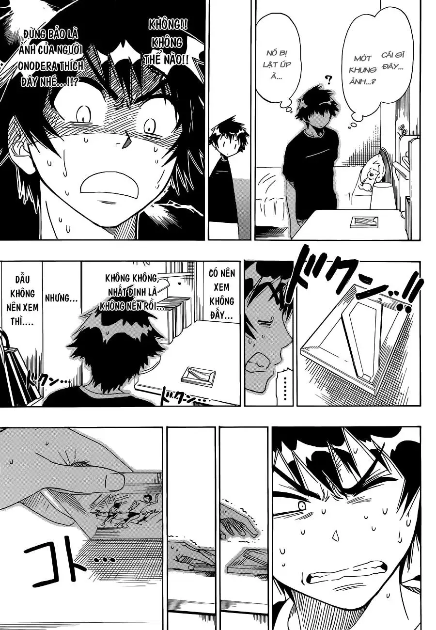 Nisekoi Chapter 39 - Trang 11