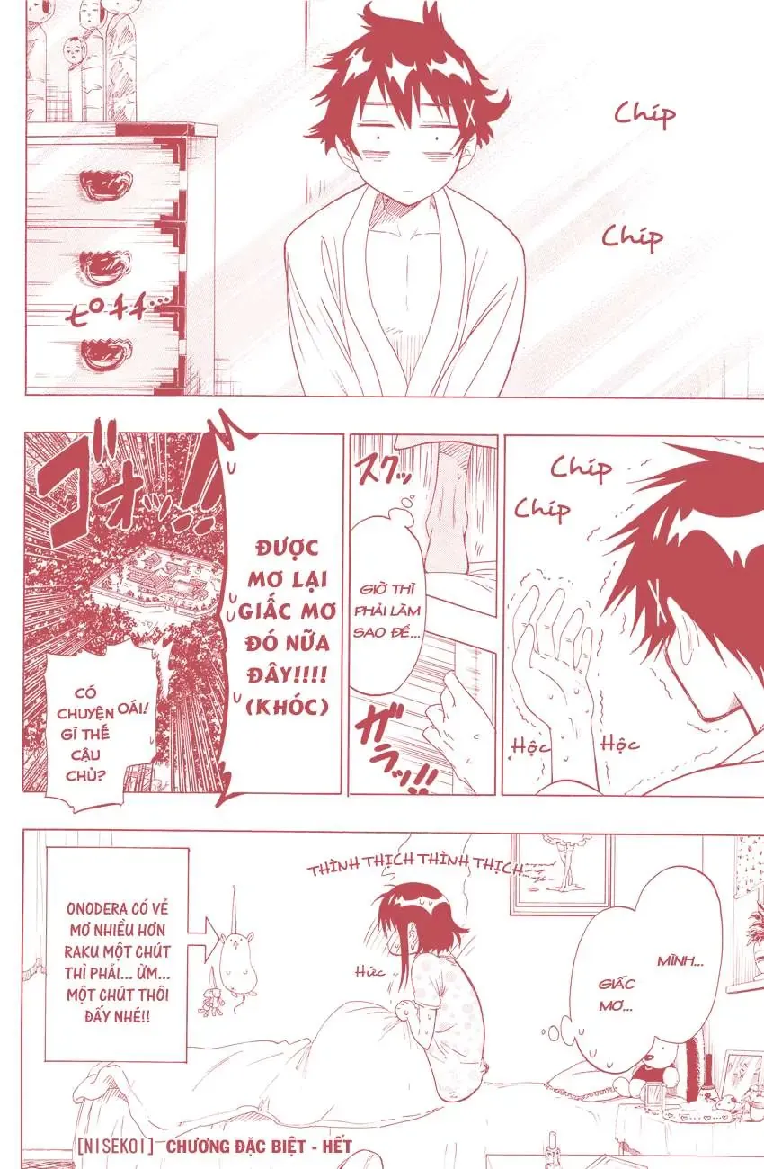 Nisekoi Chapter 40.5 - Trang 9