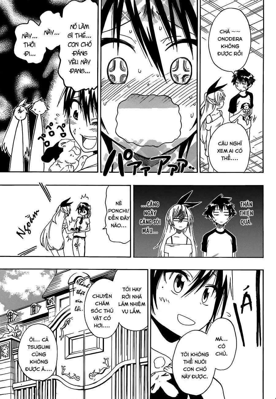 Nisekoi Chapter 41 - Trang 11