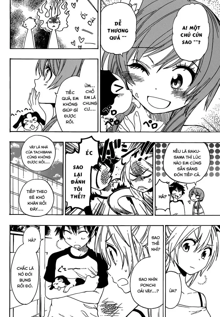 Nisekoi Chapter 41 - Trang 12
