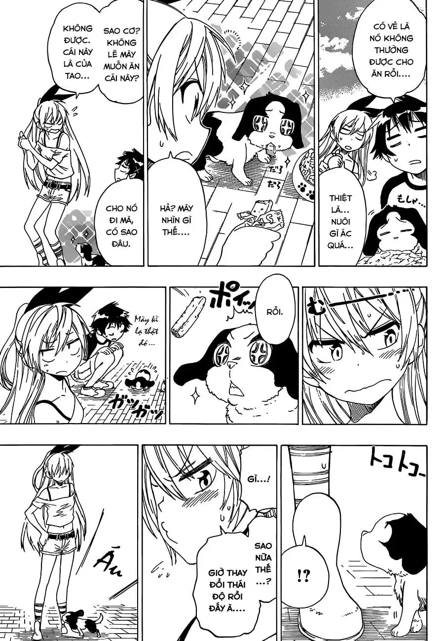 Nisekoi Chapter 41 - Trang 13