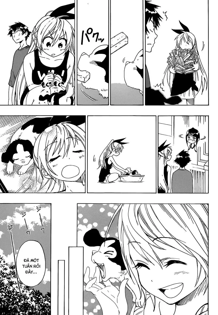 Nisekoi Chapter 41 - Trang 15