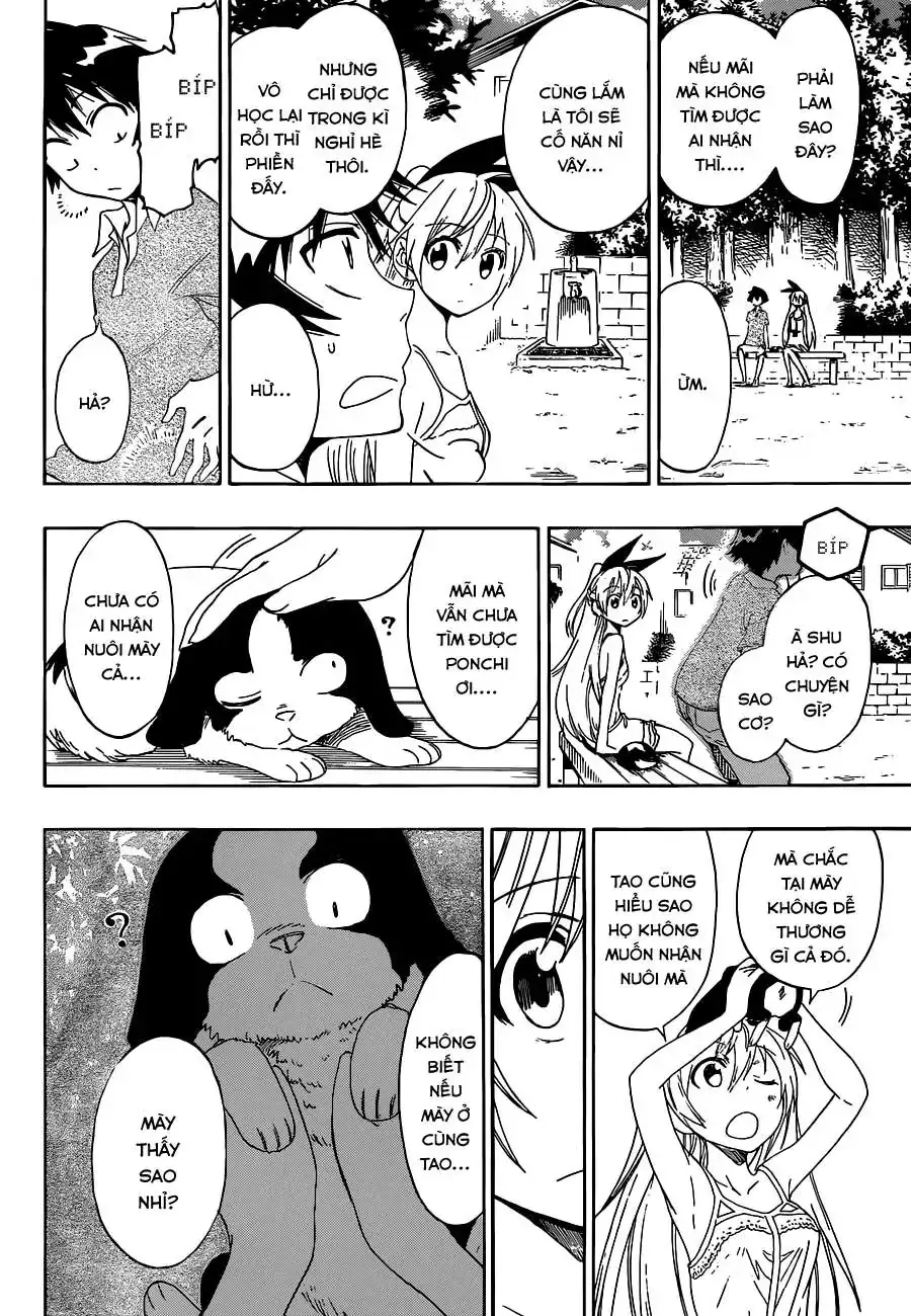 Nisekoi Chapter 41 - Trang 16