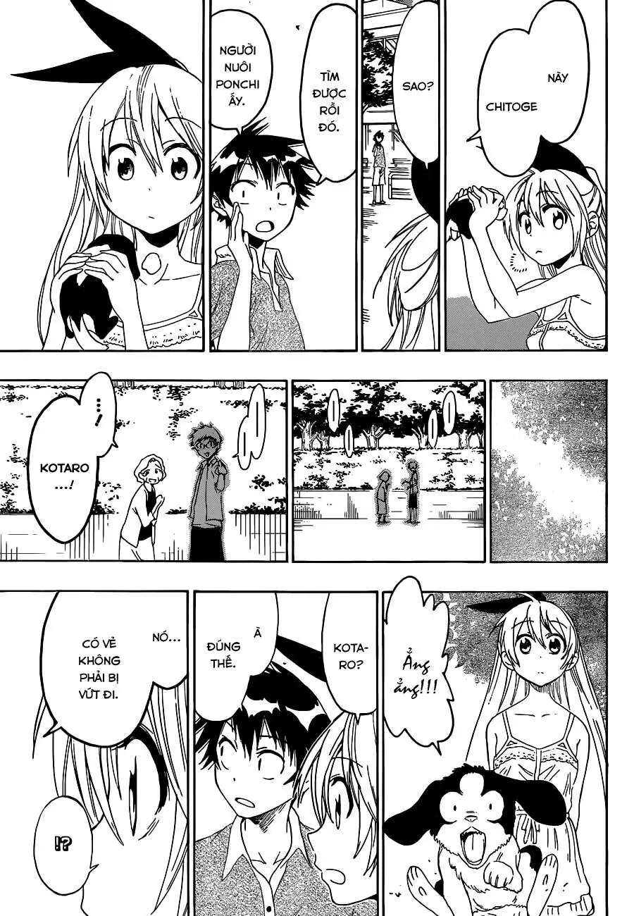 Nisekoi Chapter 41 - Trang 17