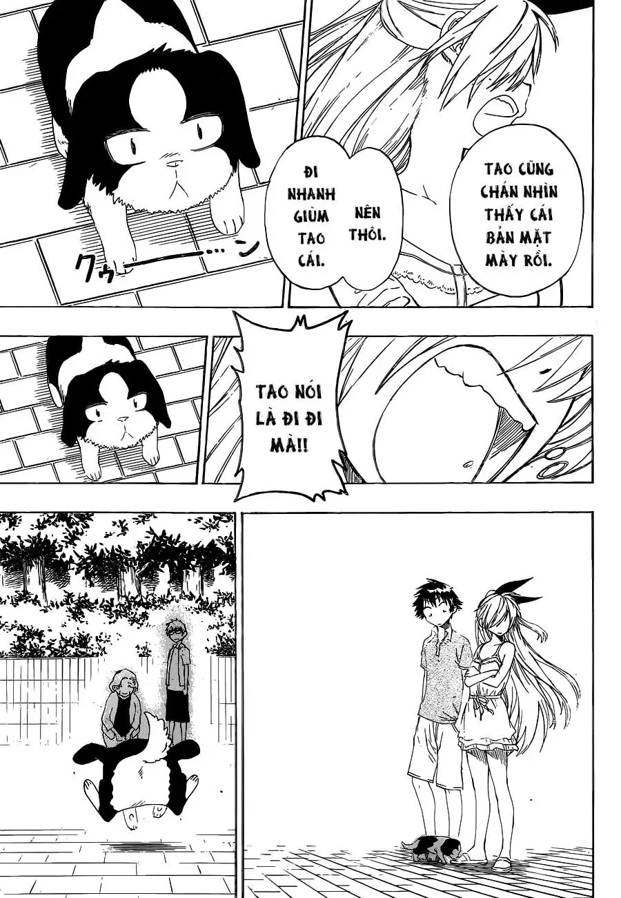 Nisekoi Chapter 41 - Trang 19