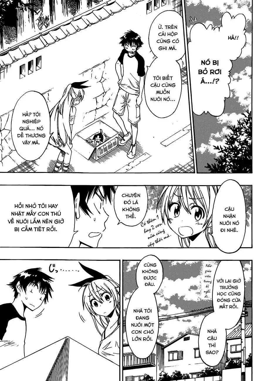 Nisekoi Chapter 41 - Trang 5