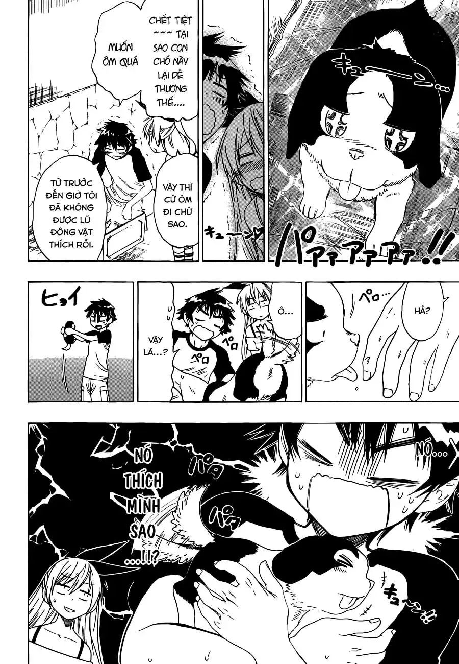 Nisekoi Chapter 41 - Trang 6