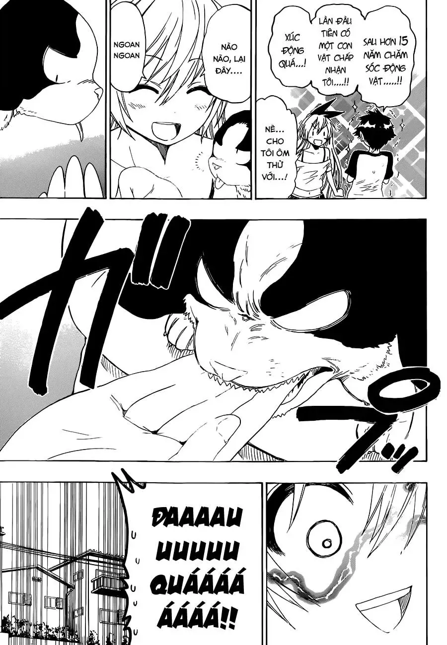 Nisekoi Chapter 41 - Trang 7