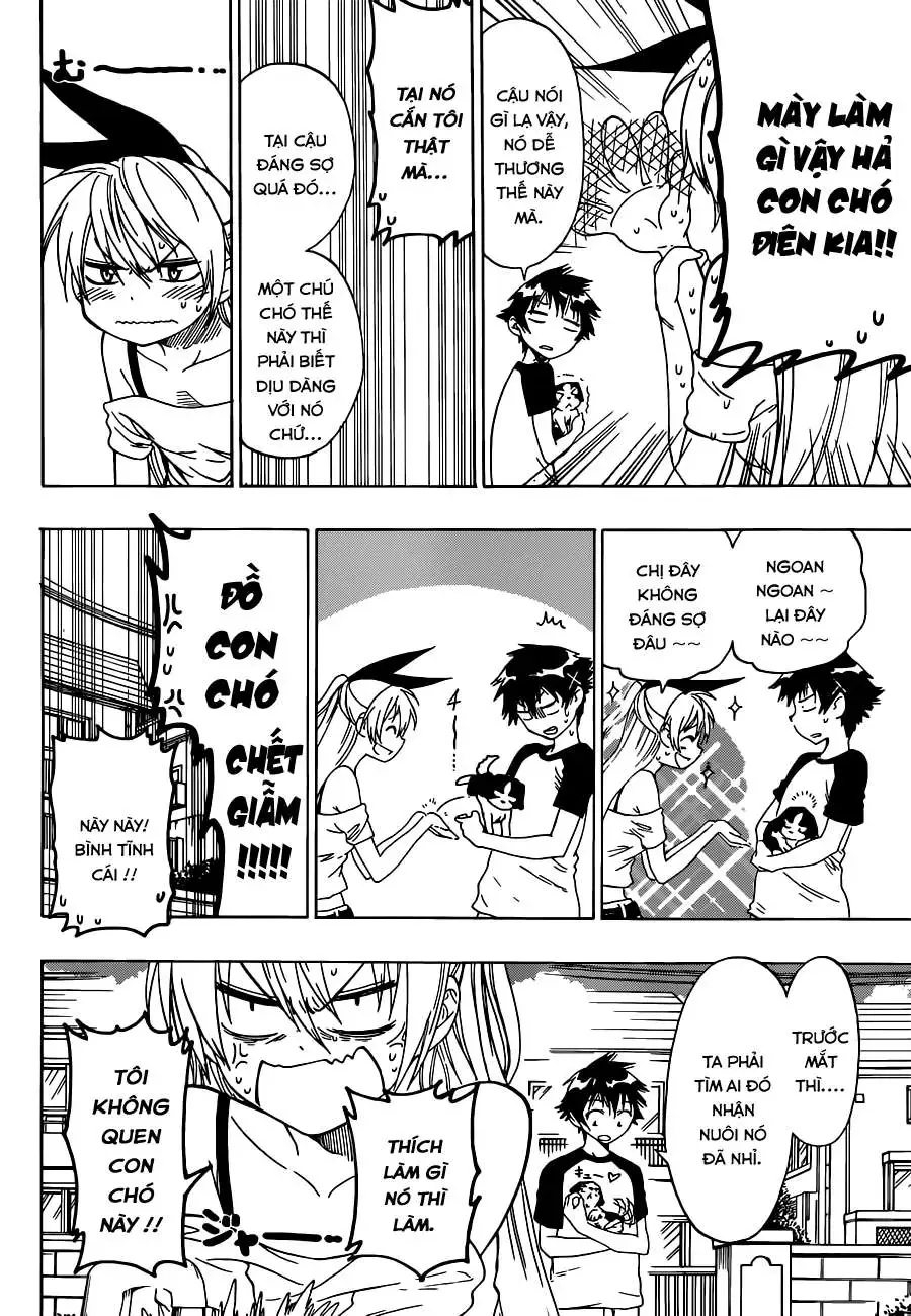 Nisekoi Chapter 41 - Trang 8