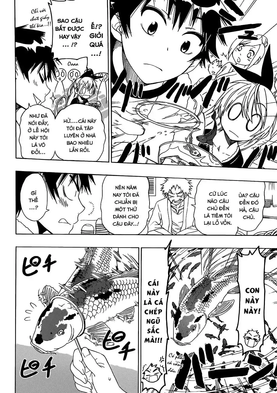 Nisekoi Chapter 42 - Trang 15
