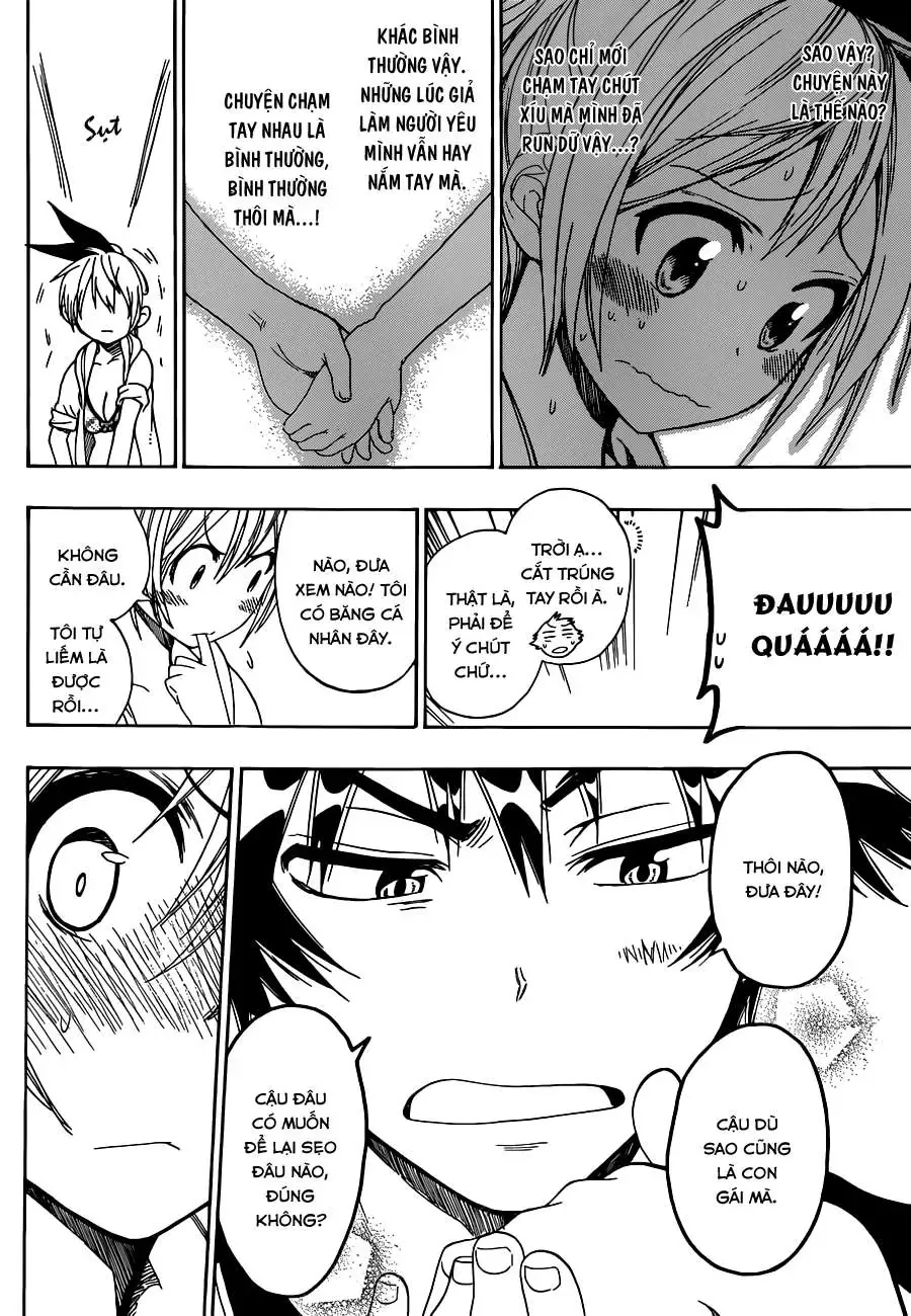 Nisekoi Chapter 44 - Trang 14