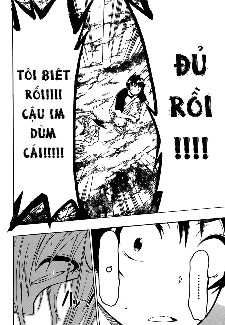 Nisekoi Chapter 45 - Trang 21