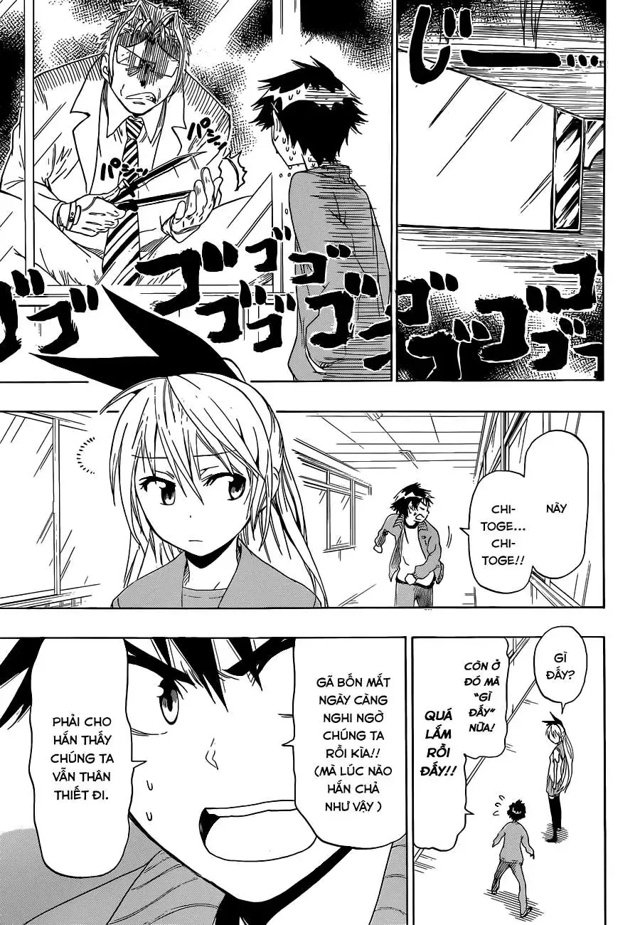Nisekoi Chapter 47 - Trang 14