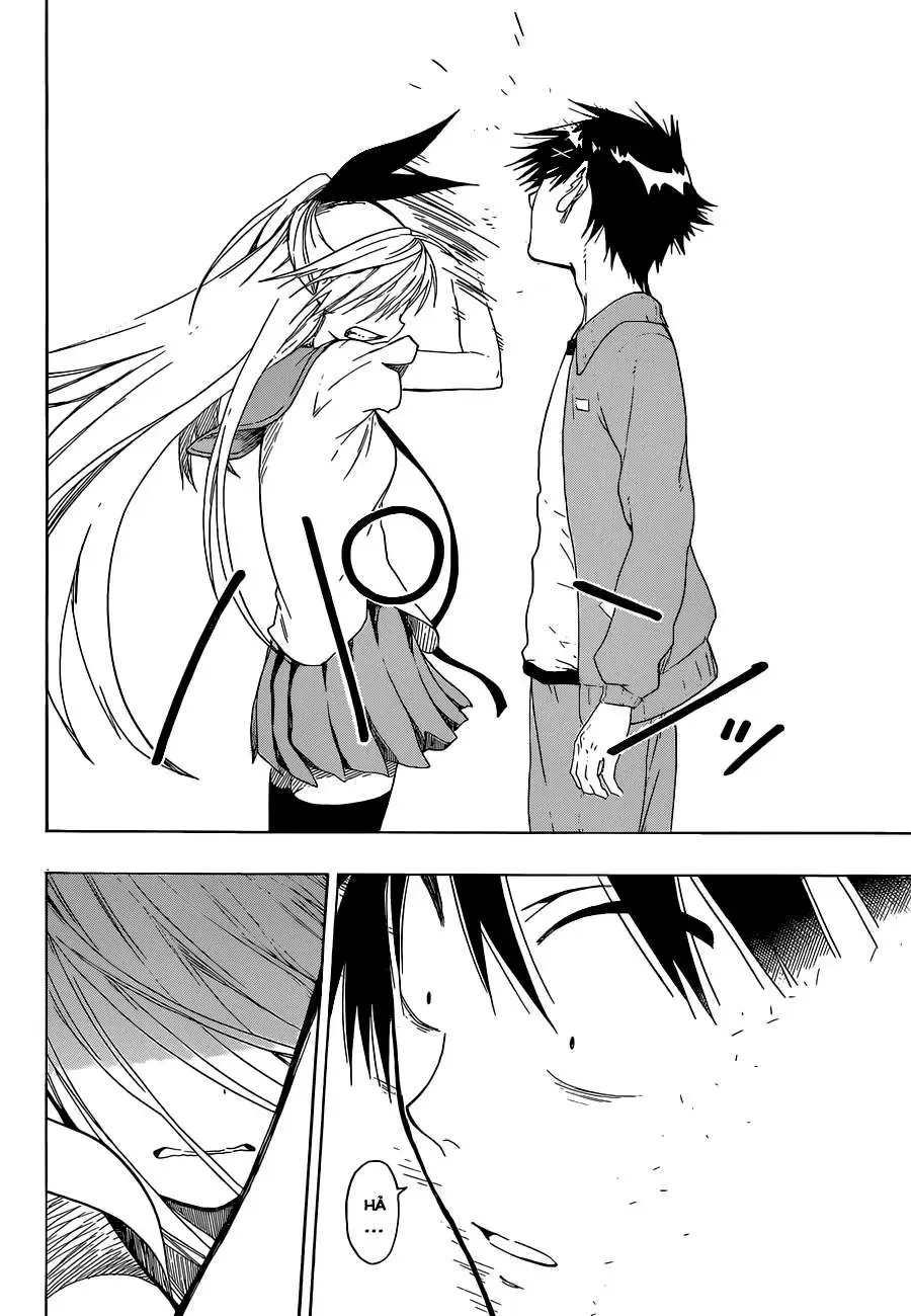 Nisekoi Chapter 47 - Trang 19