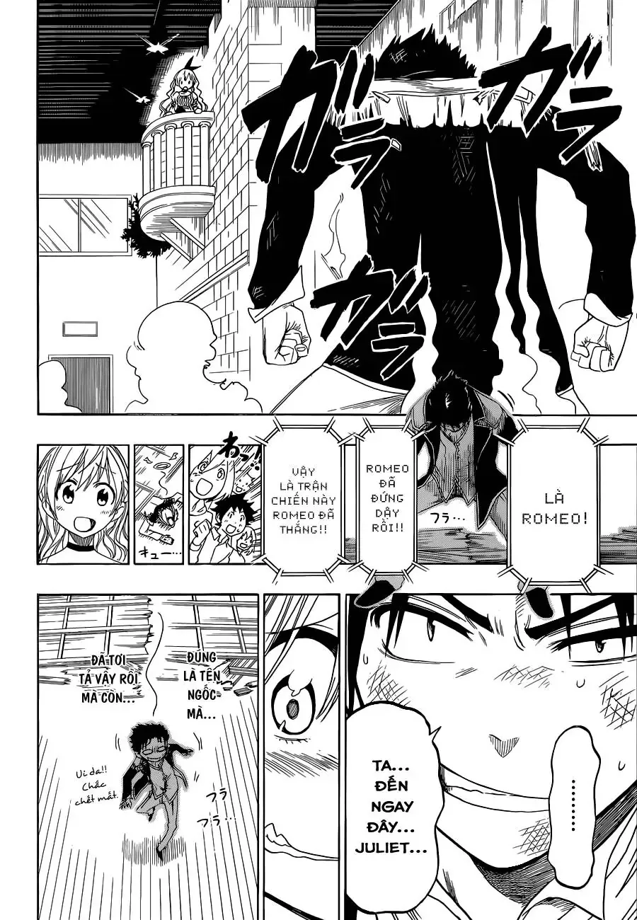 Nisekoi Chapter 49 - Trang 21