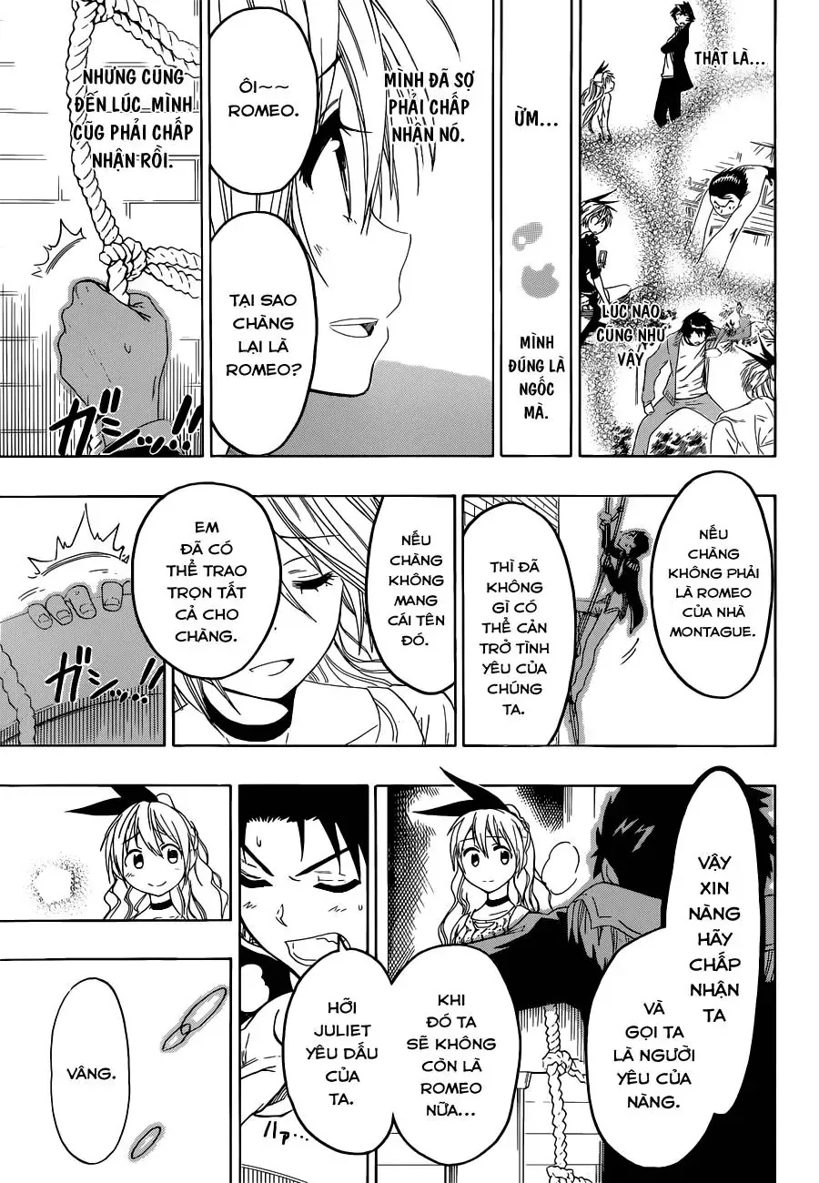 Nisekoi Chapter 49 - Trang 22