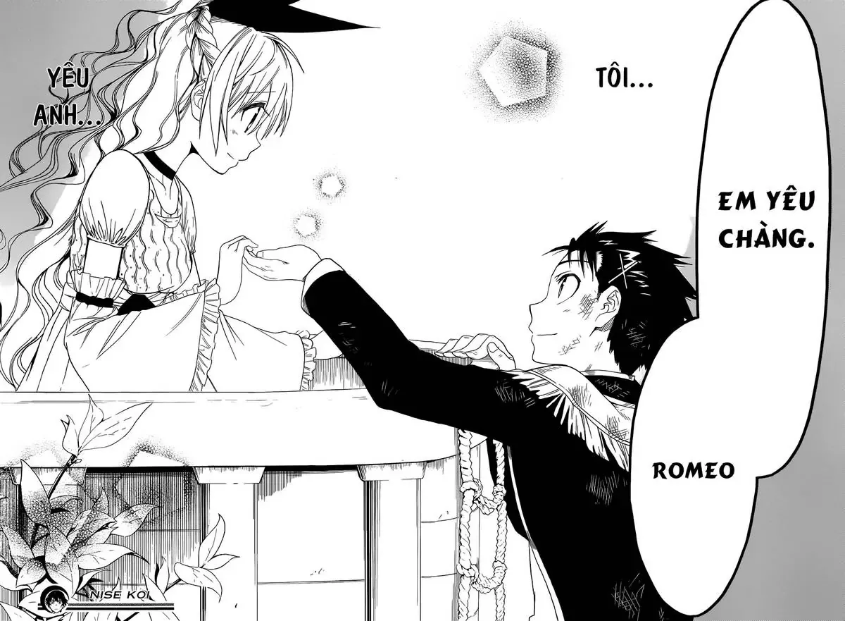 Nisekoi Chapter 49 - Trang 23