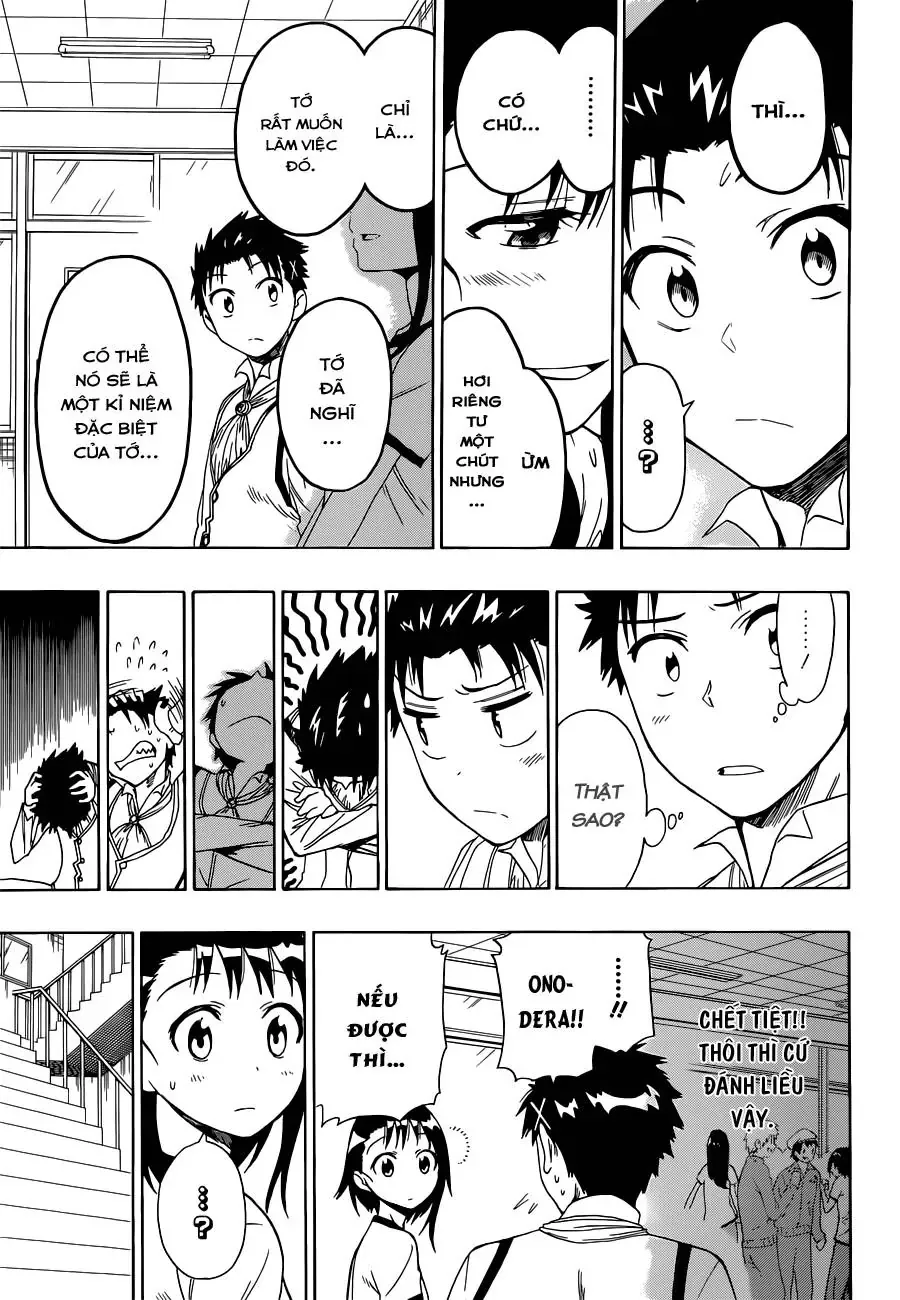 Nisekoi Chapter 50 - Trang 17