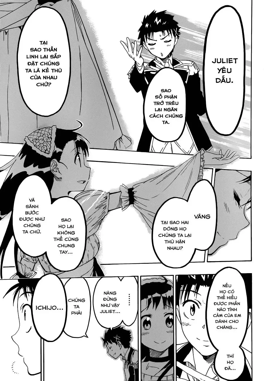 Nisekoi Chapter 50 - Trang 19