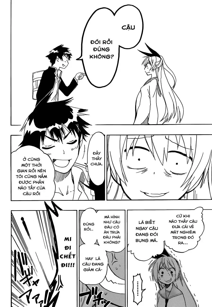 Nisekoi Chapter 51 - Trang 21