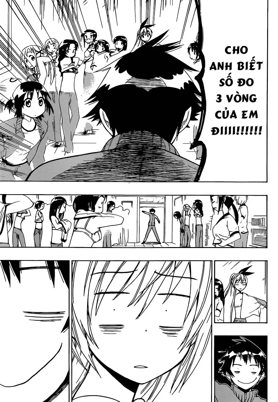 Nisekoi Chapter 52 - Trang 20