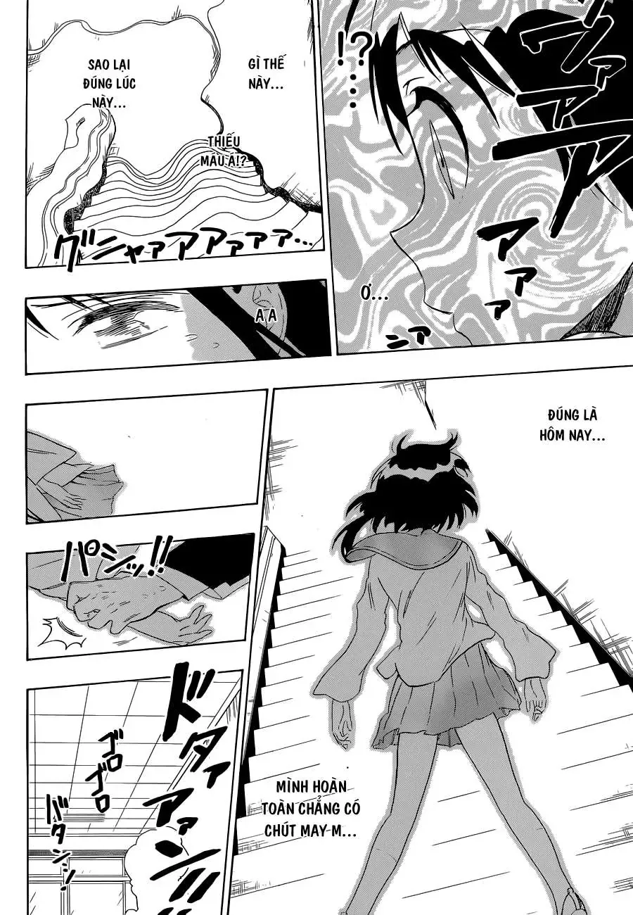 Nisekoi Chapter 53 - Trang 19