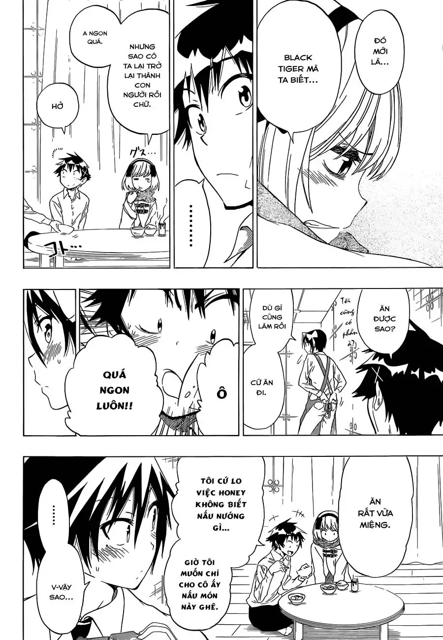 Nisekoi Chapter 54 - Trang 19