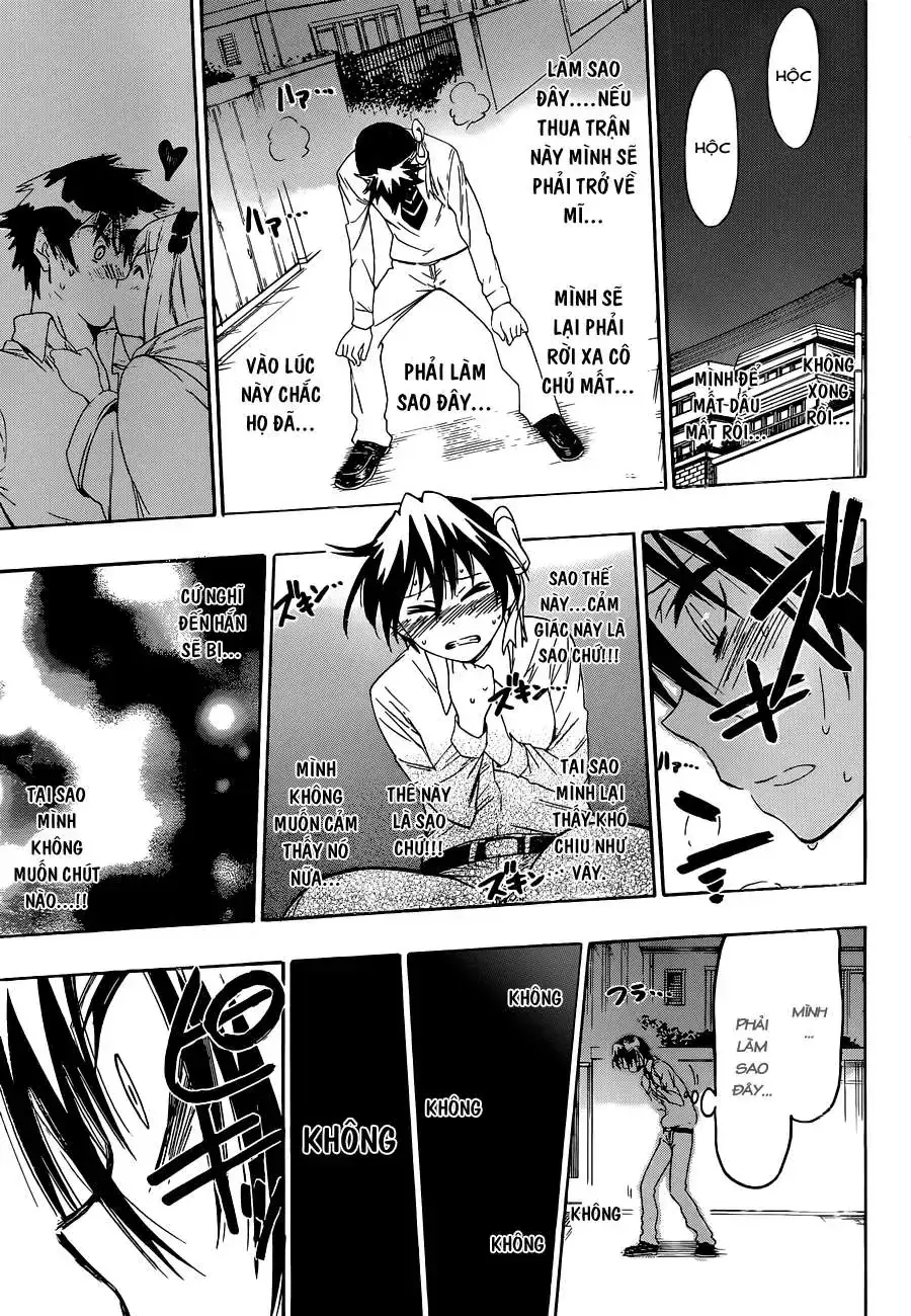 Nisekoi Chapter 55 - Trang 15