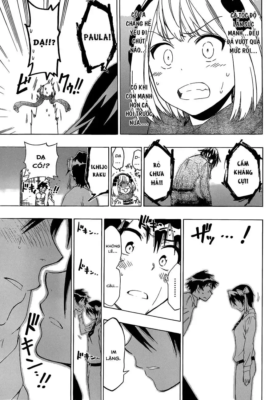 Nisekoi Chapter 55 - Trang 19