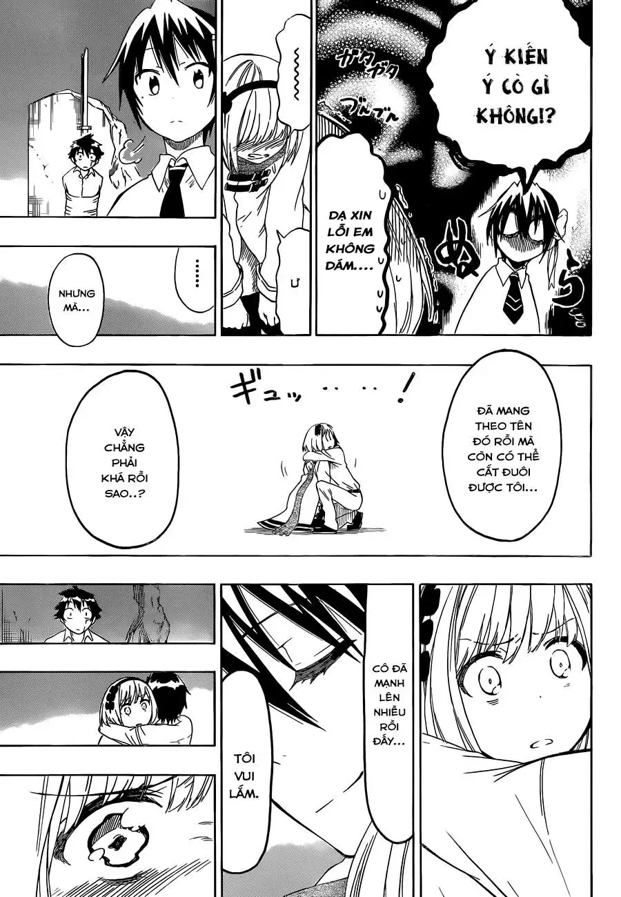 Nisekoi Chapter 55 - Trang 21
