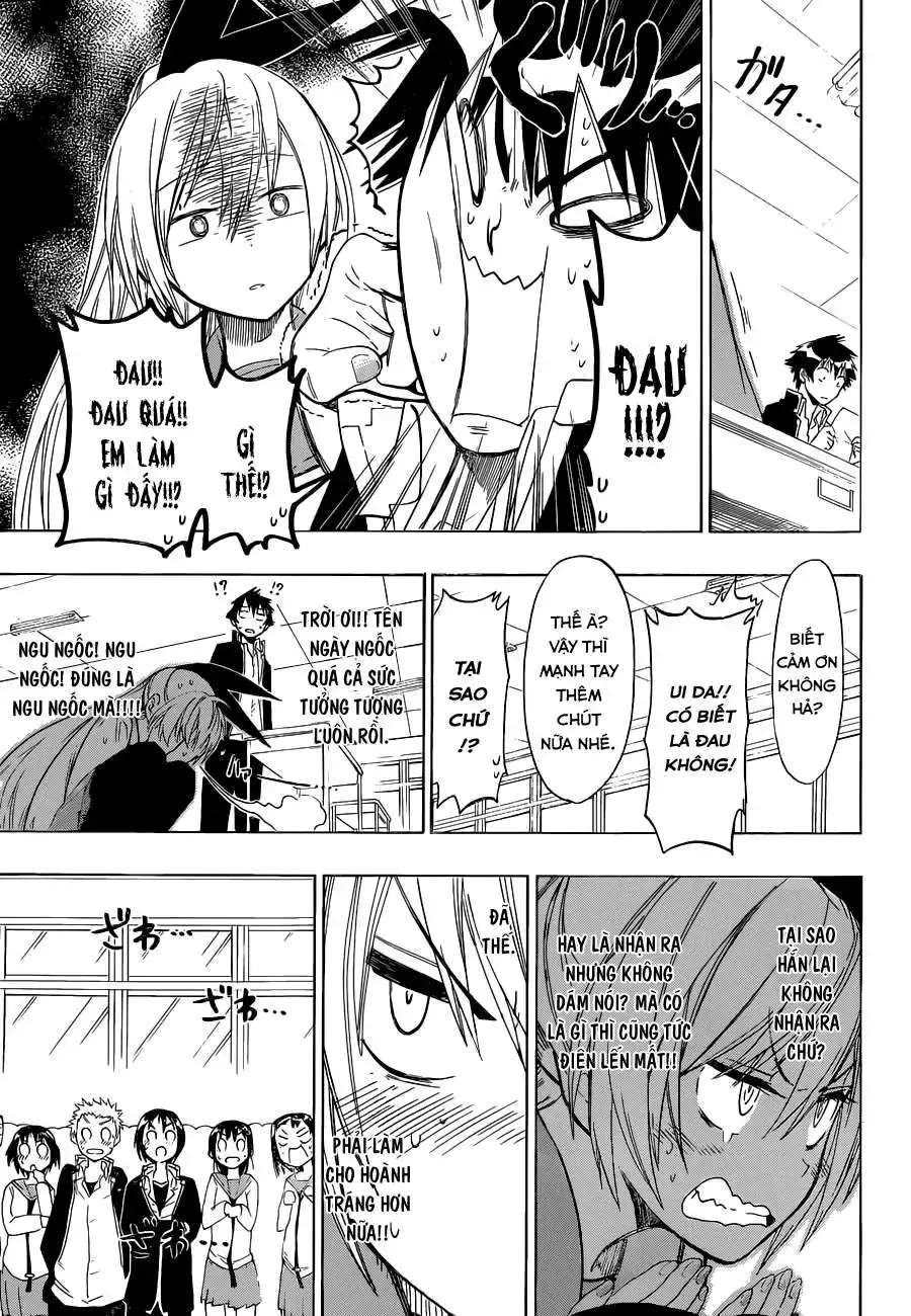Nisekoi Chapter 57 - Trang 13