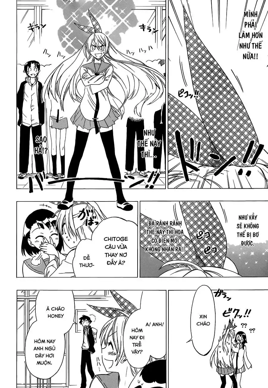Nisekoi Chapter 57 - Trang 14