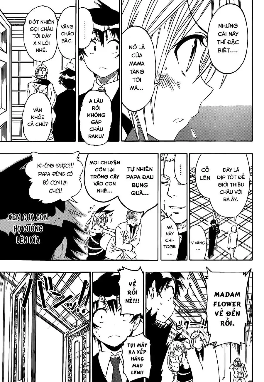 Nisekoi Chapter 59 - Trang 11