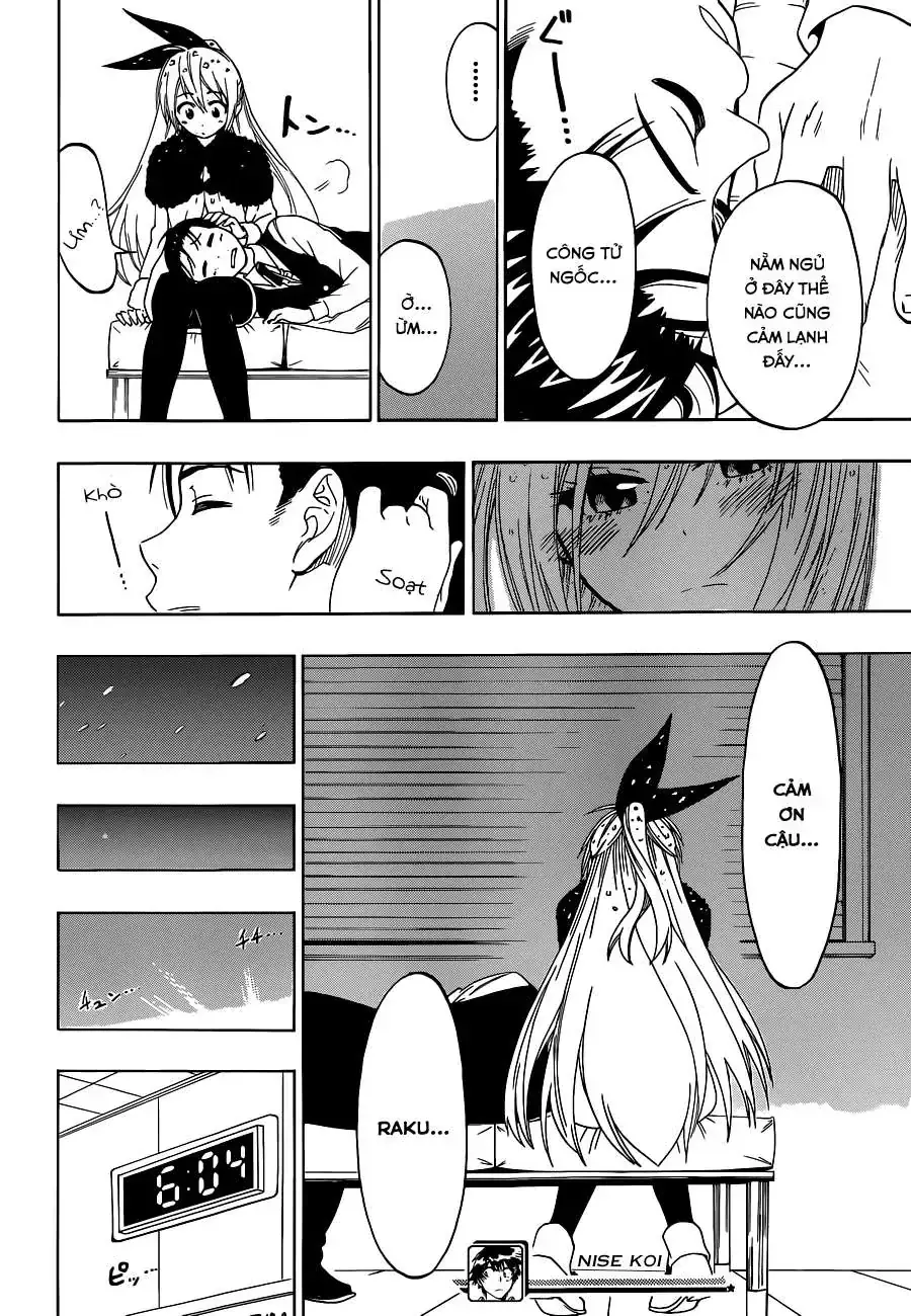 Nisekoi Chapter 62 - Trang 20