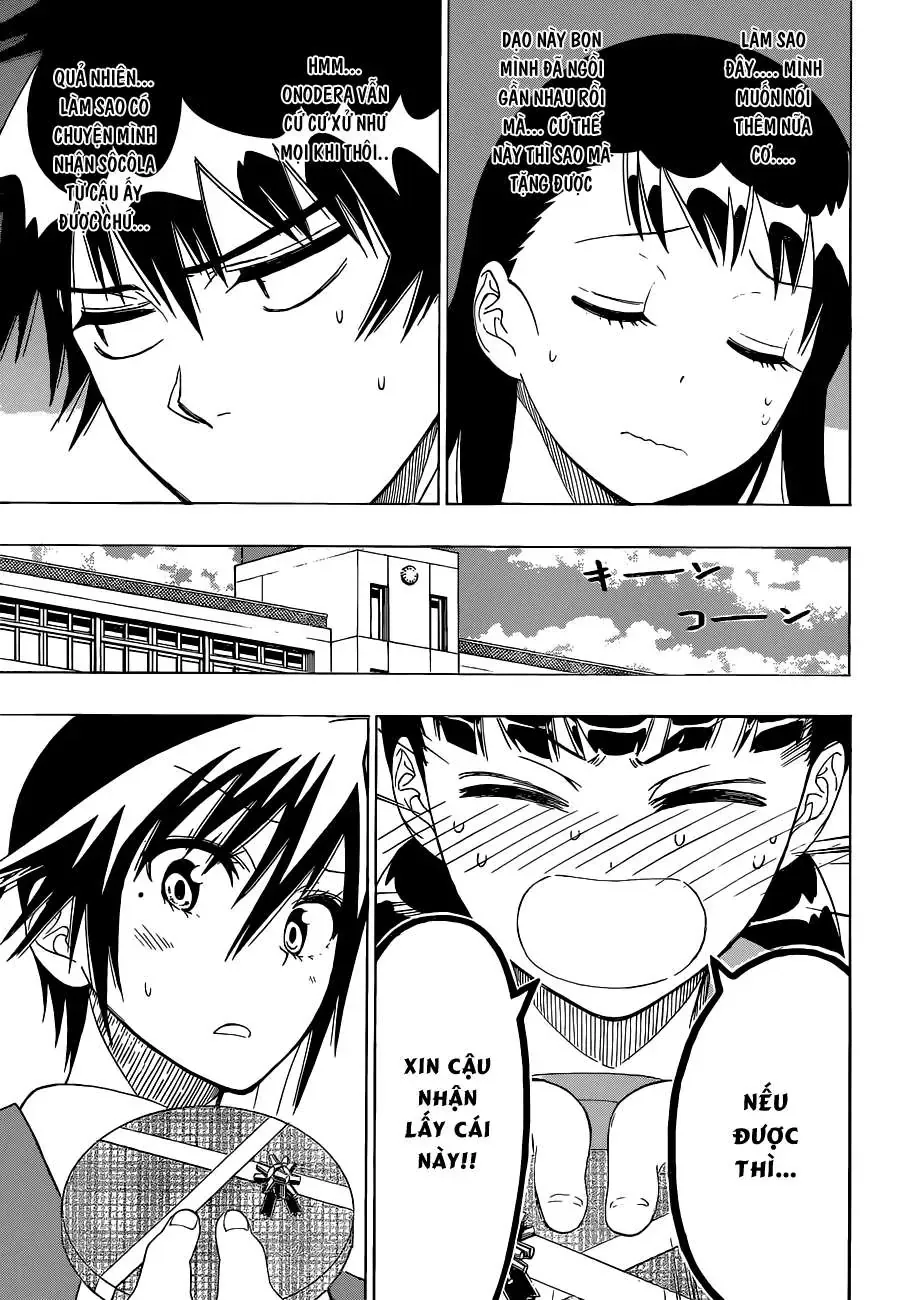 Nisekoi Chapter 67 - Trang 15