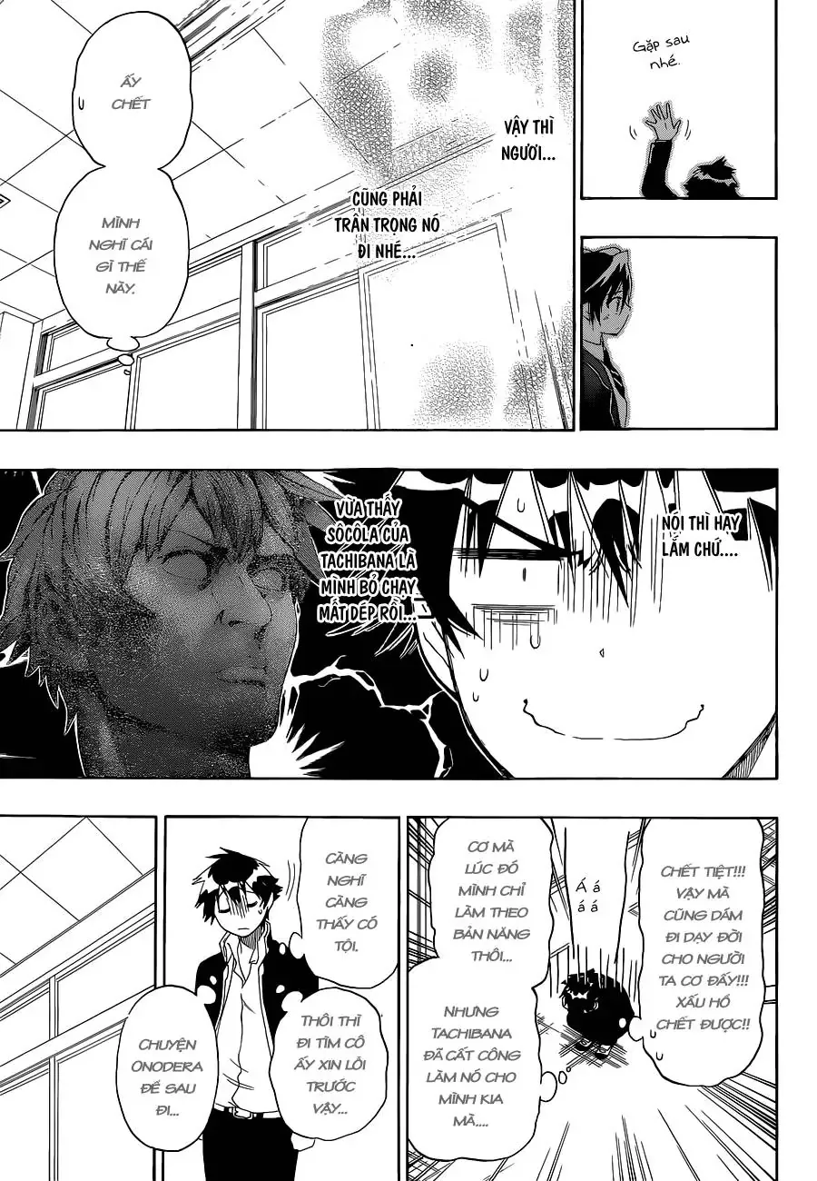Nisekoi Chapter 68 - Trang 11