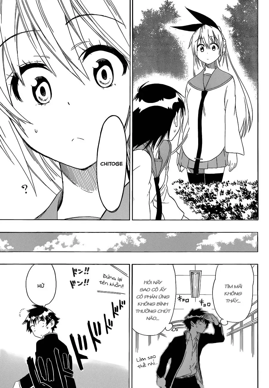 Nisekoi Chapter 68 - Trang 5