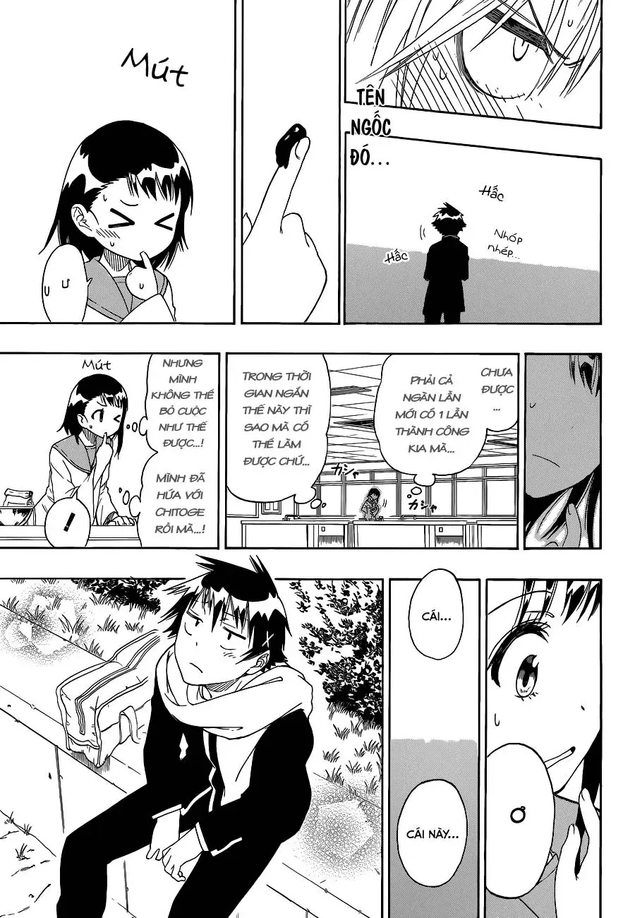 Nisekoi Chapter 69 - Trang 15