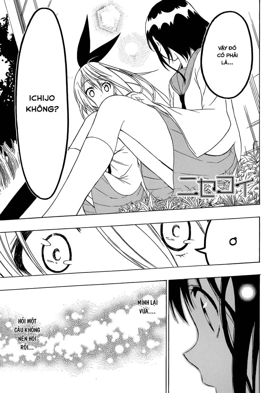 Nisekoi Chapter 69 - Trang 3