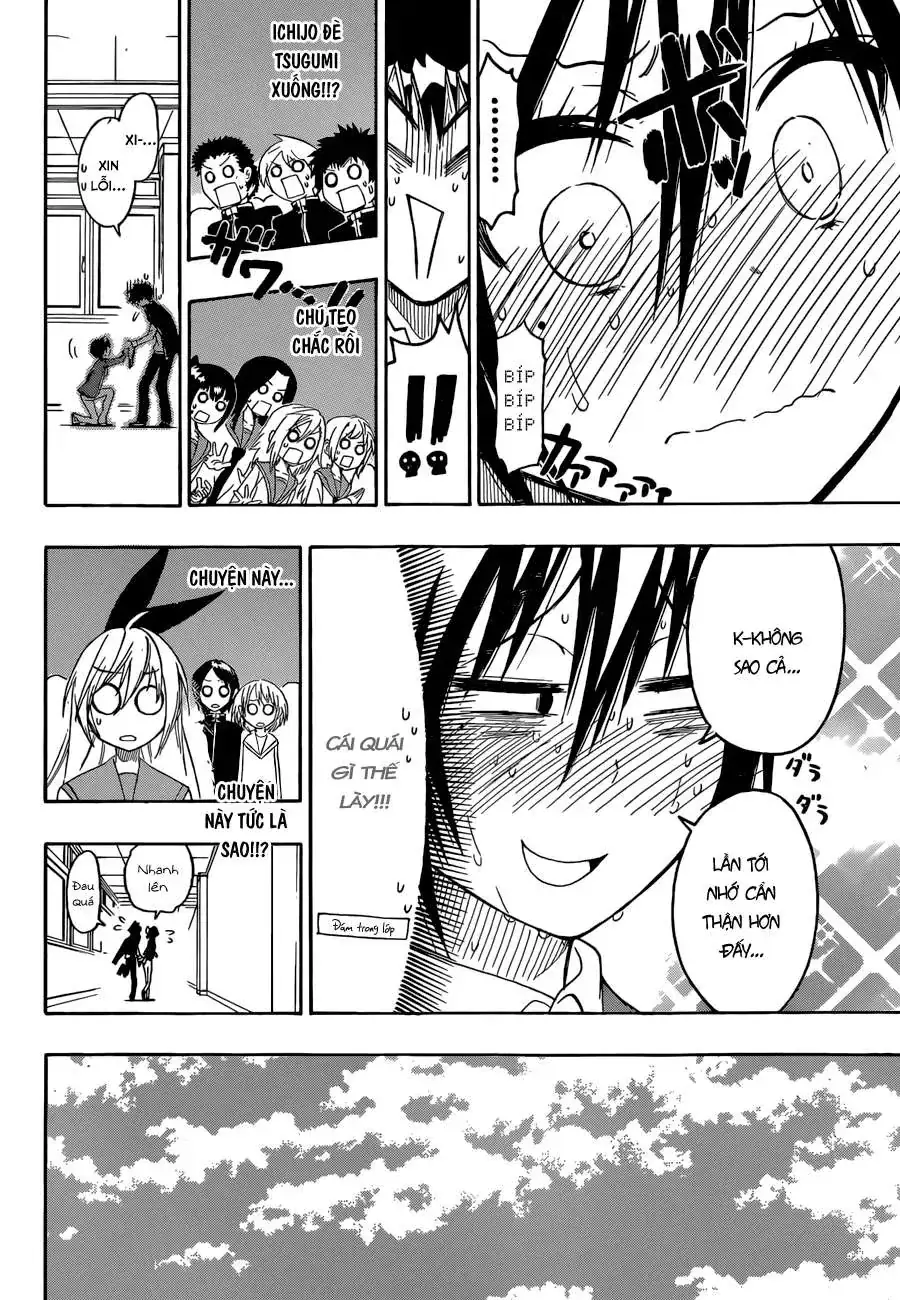 Nisekoi Chapter 70 - Trang 12