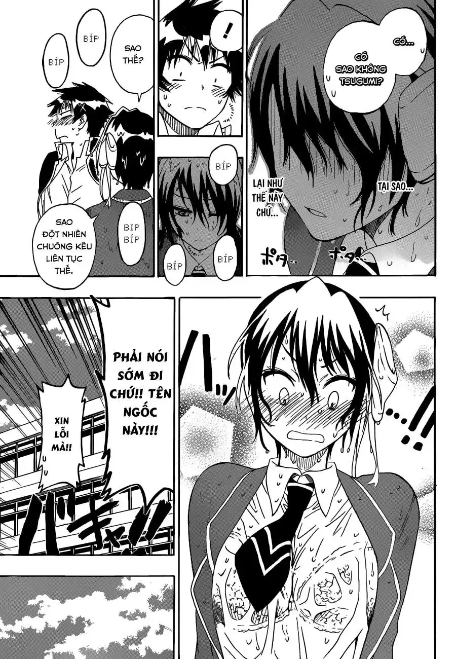 Nisekoi Chapter 70 - Trang 15